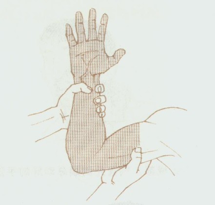 圖片5.png