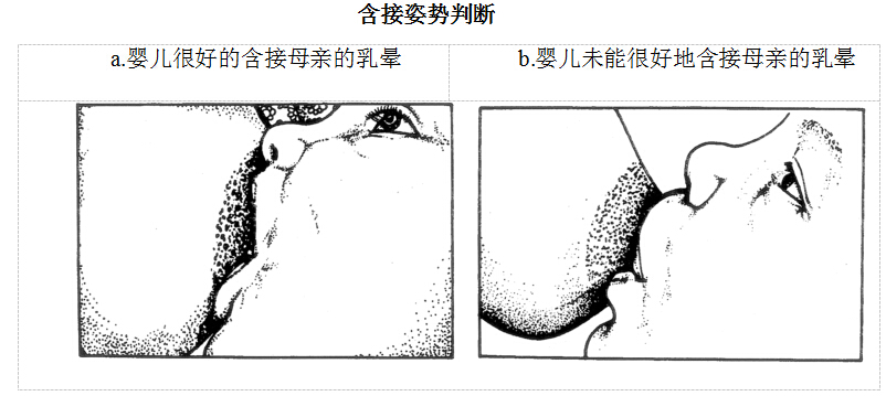 QQ截圖20150225175819.jpg