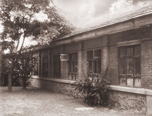 3、1965年建內(nèi)兒科病房.jpg