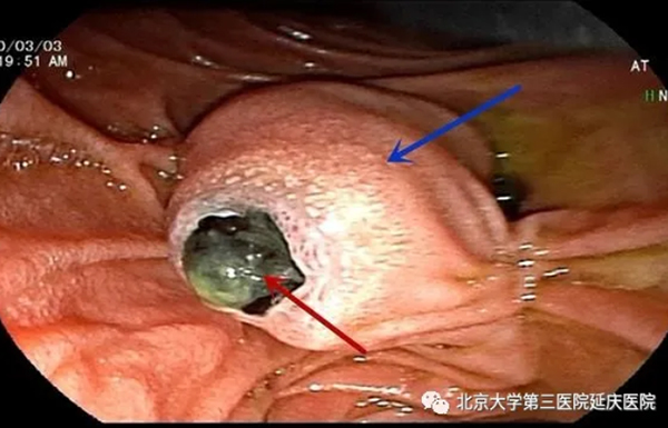 圖片10.jpg