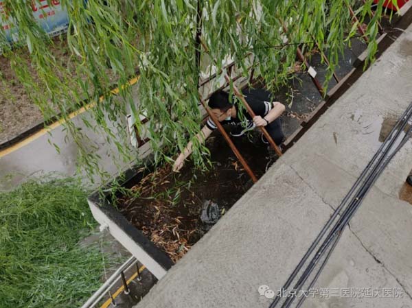圖片56.jpg