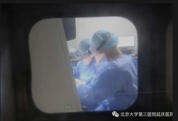 圖片80.jpg