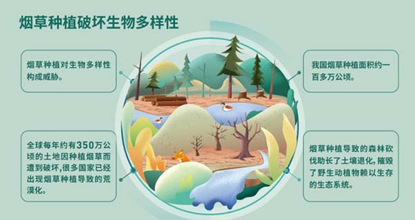 圖片8.jpg