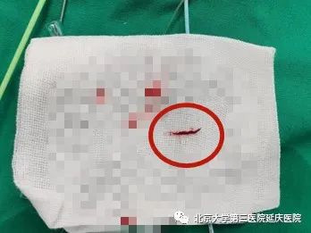 圖片20.jpg