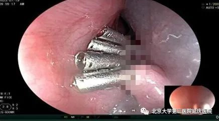 圖片5.jpg