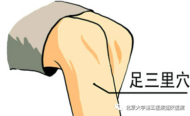 圖片33.jpg