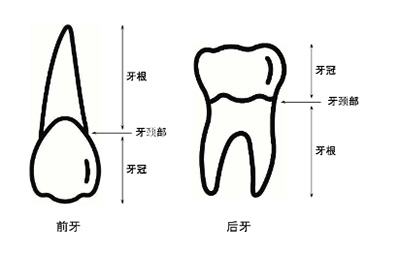 圖片26.jpg