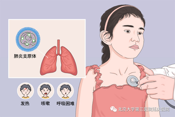 圖片4.jpg