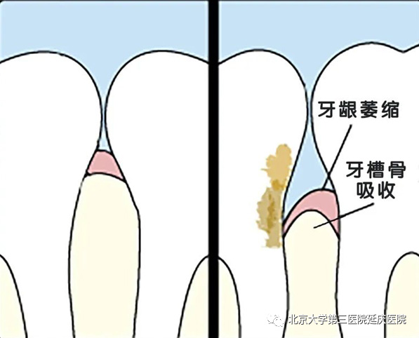 圖片2.jpg