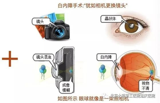 圖片3.jpg