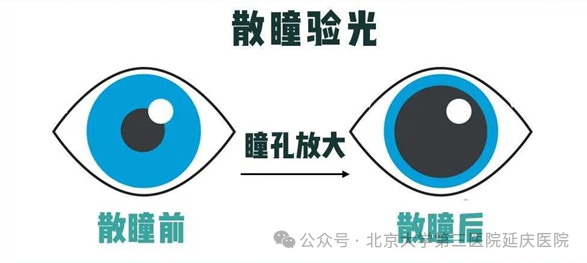 圖片20.jpg