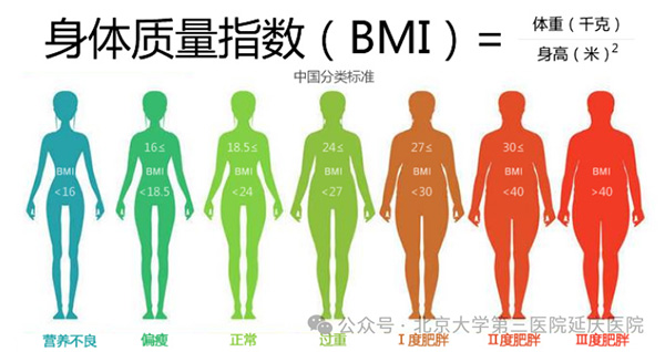 圖片10.jpg