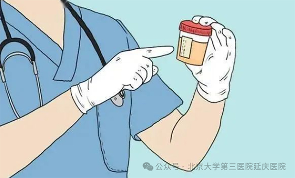圖片24.jpg