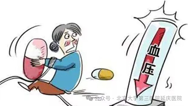 圖片12.jpg