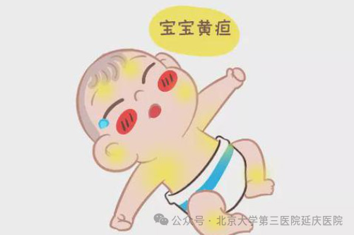圖片10.jpg