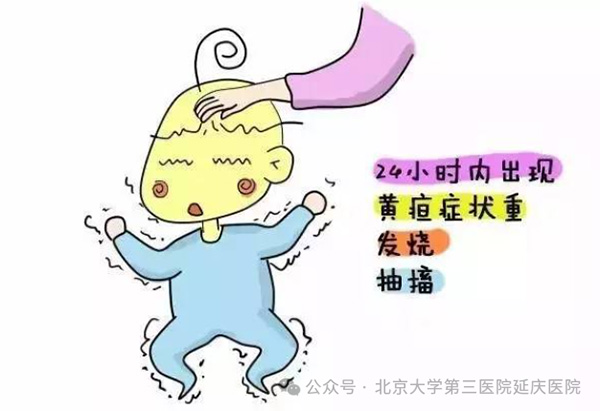 圖片11.jpg