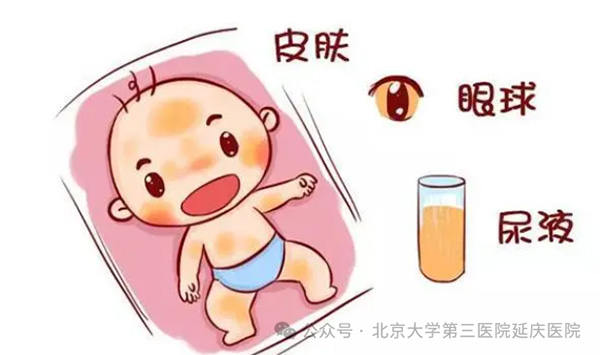 圖片13.jpg