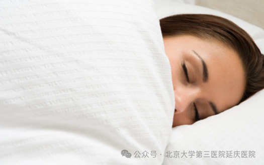 圖片21.jpg