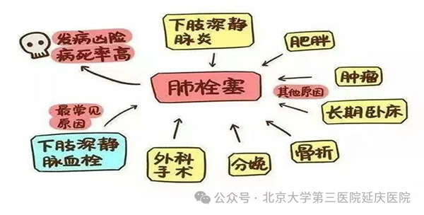 圖片12.jpg