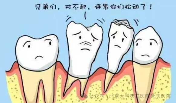 圖片4.jpg