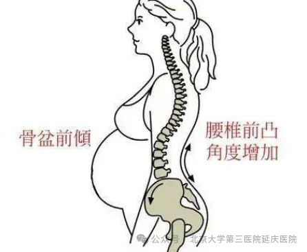 圖片-3.jpg