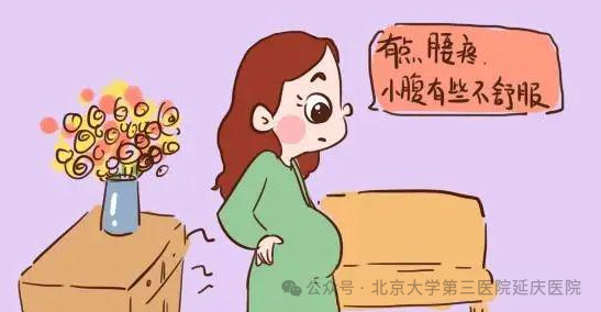 圖片-4.jpg