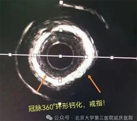 圖片2.jpg