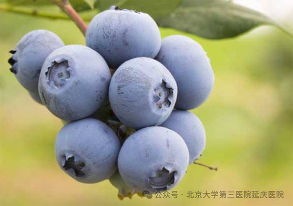 圖片7.jpg