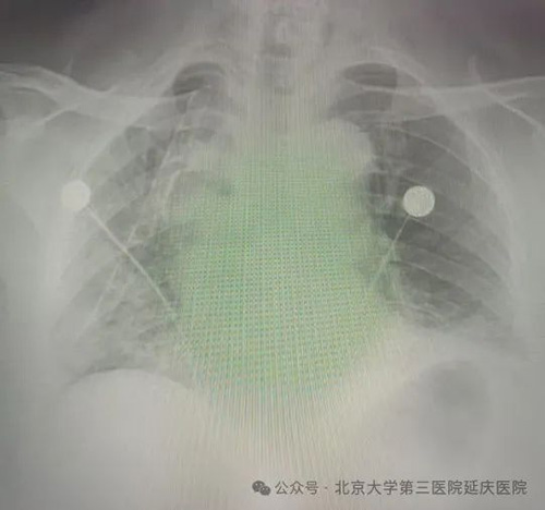 圖片31.jpg