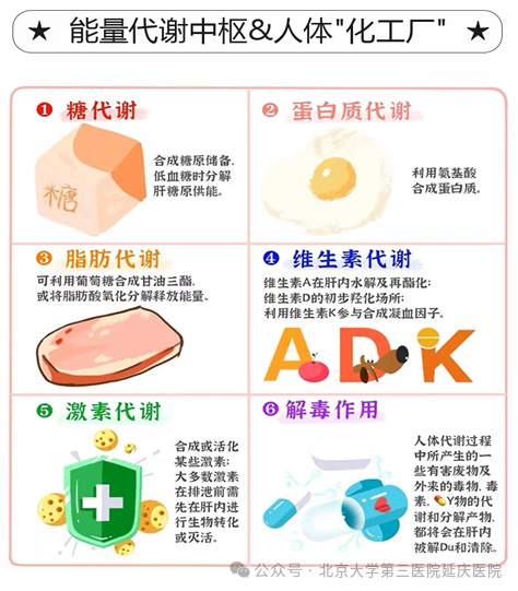 圖片16.jpg