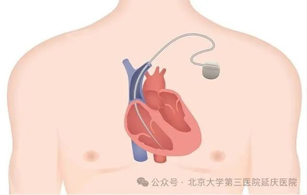 圖片13.jpg