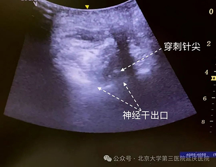 圖片10.jpg