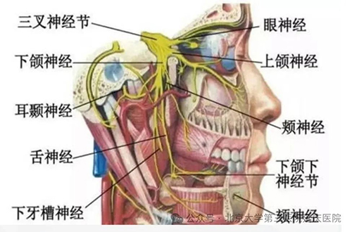 圖片11.jpg