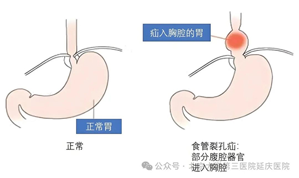 圖片14.jpg