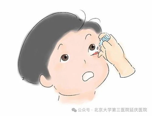 圖片8.jpg