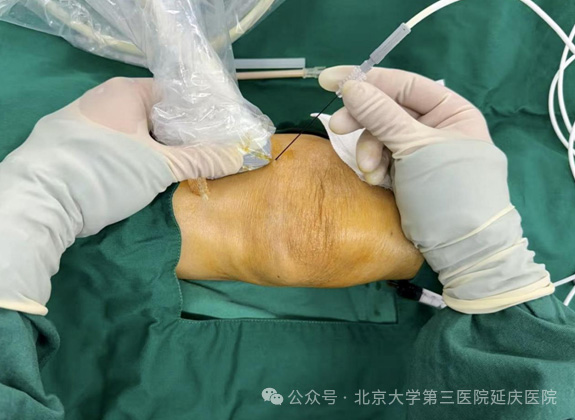 圖片9.jpg