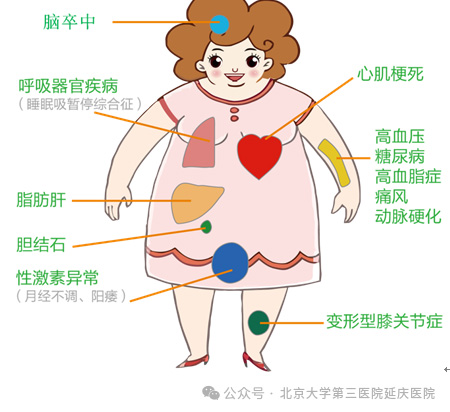 圖片7.jpg